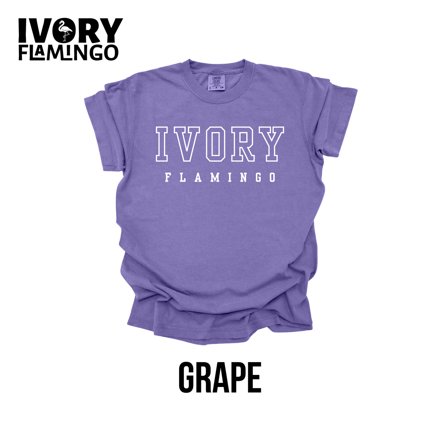 Ivory Flamingo Collegiate Logo